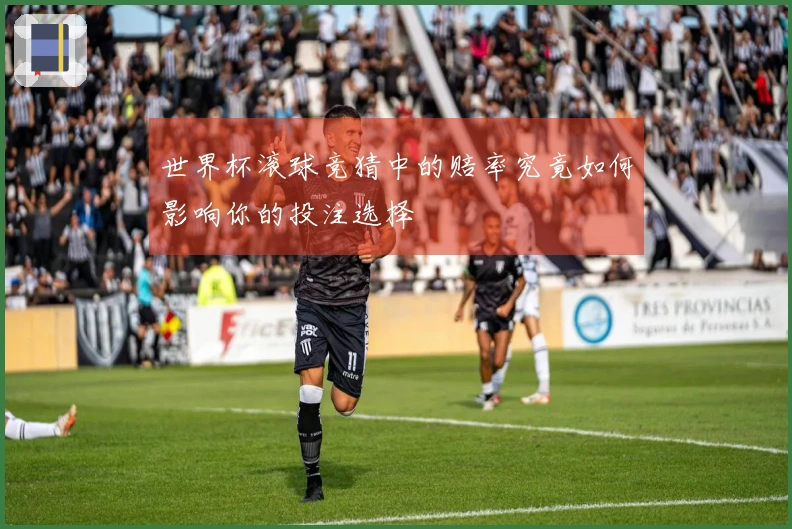 世界杯滚球竞猜中的赔率究竟如何影响你的投注选择
