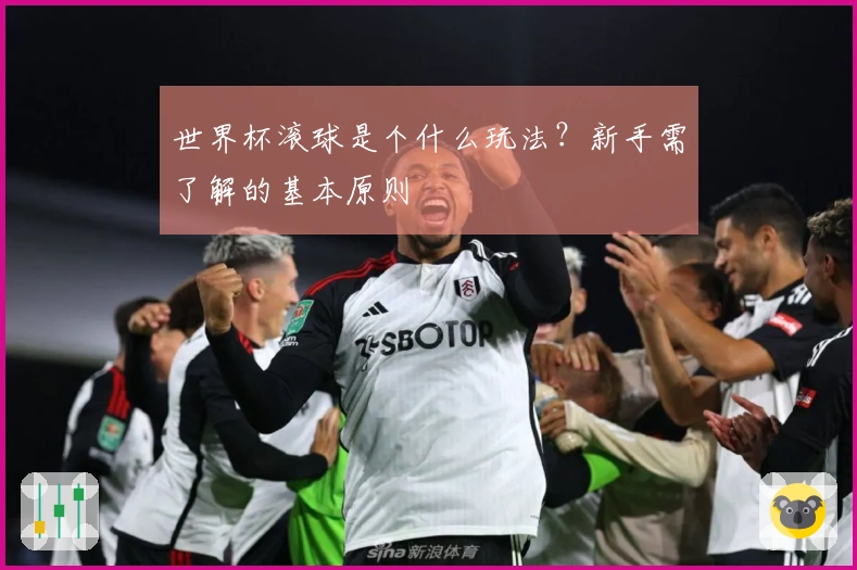 世界杯滚球是个什么玩法？新手需了解的基本原则