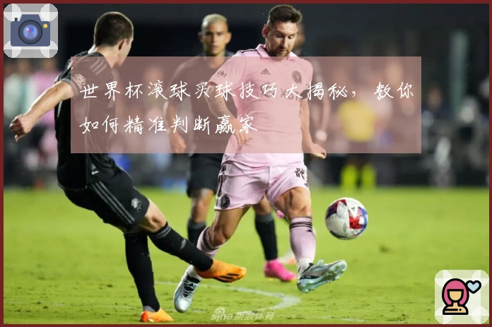 世界杯滚球买球技巧大揭秘，教你如何精准判断赢家