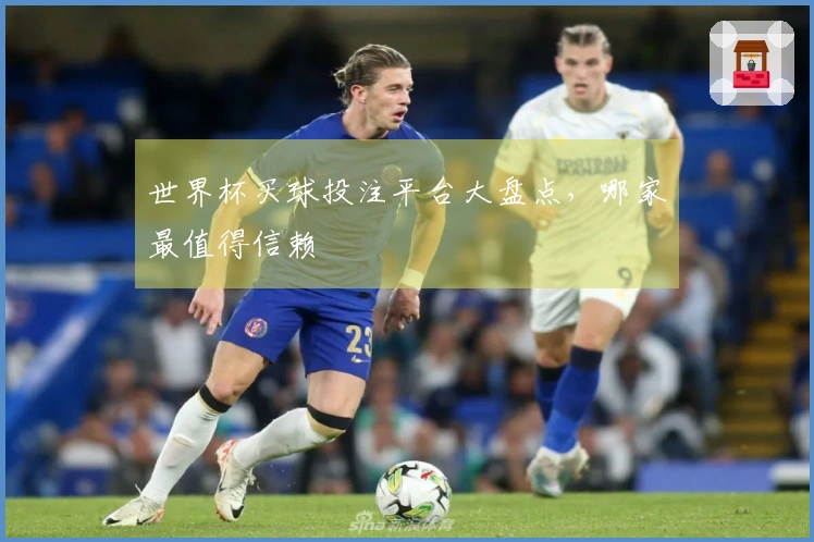 世界杯买球投注平台大盘点，哪家最值得信赖