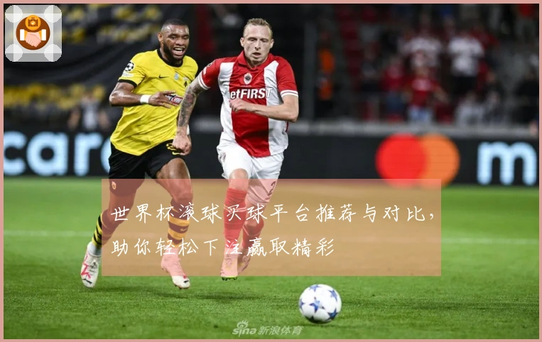 世界杯滚球买球平台推荐与对比，助你轻松下注赢取精彩