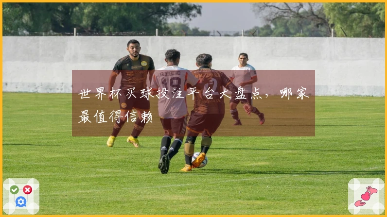 世界杯买球投注平台大盘点，哪家最值得信赖