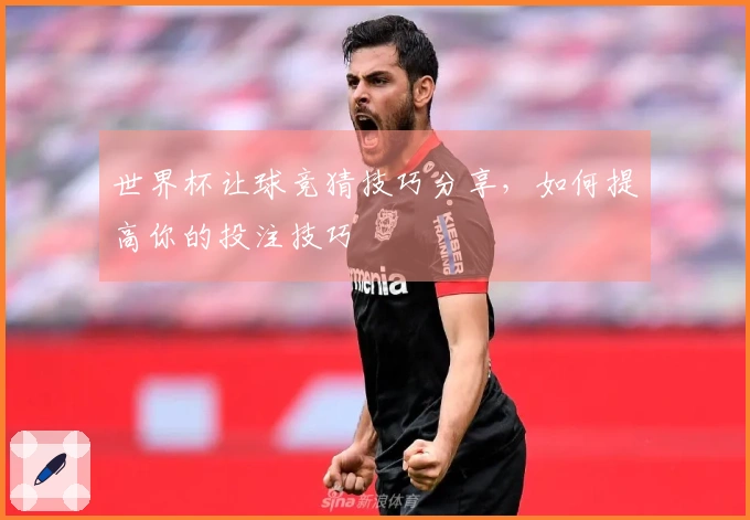 世界杯让球竞猜技巧分享，如何提高你的投注技巧
