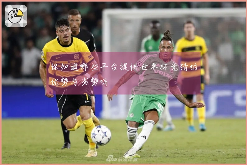 你知道哪些平台提供世界杯竞猜的优势与劣势吗