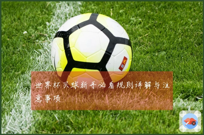 世界杯买球新手必看规则详解与注意事项