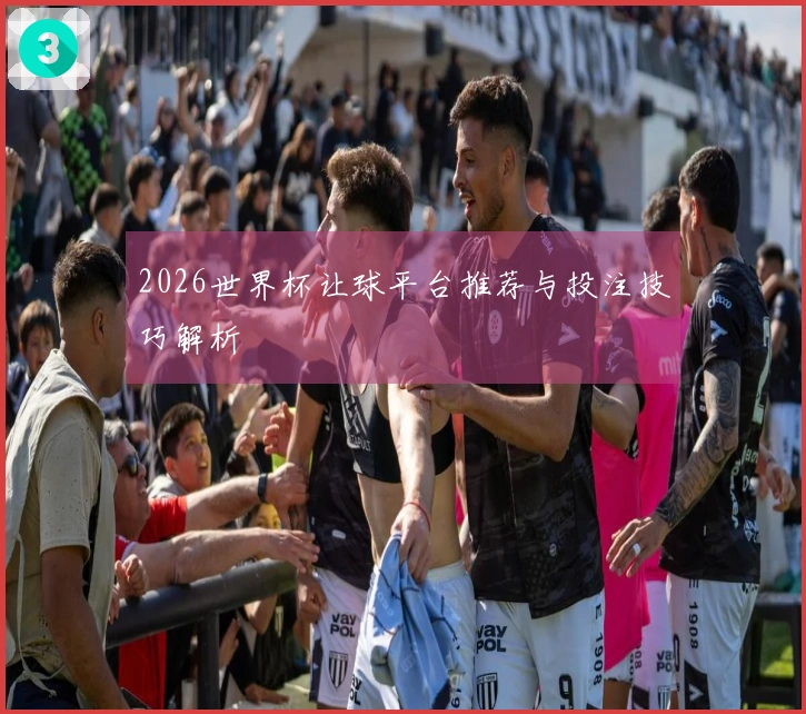 2026世界杯让球平台推荐与投注技巧解析