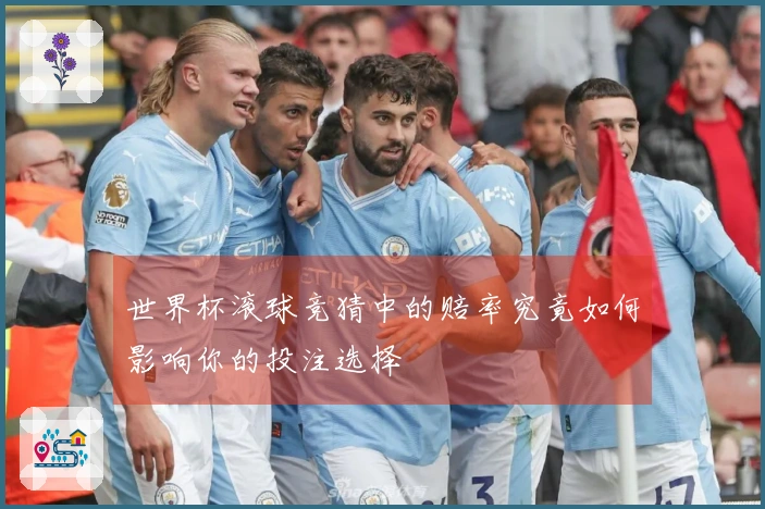 世界杯滚球竞猜中的赔率究竟如何影响你的投注选择