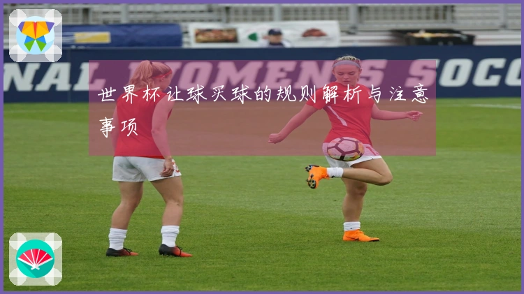 世界杯让球买球的规则解析与注意事项