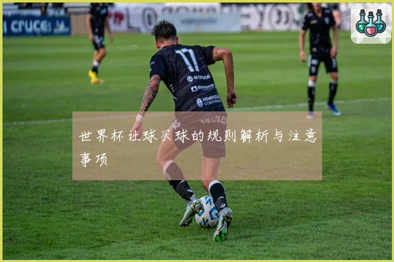 世界杯让球买球的规则解析与注意事项