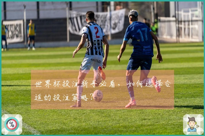 世界杯投注新手必看,如何选择合适的投注策略?