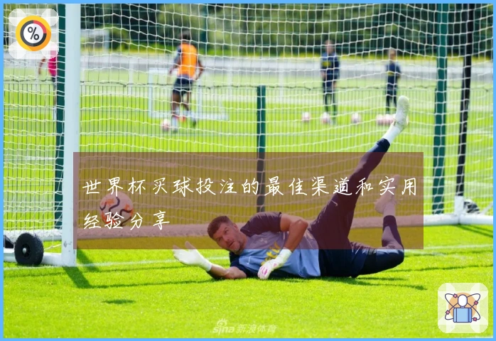 世界杯买球投注的最佳渠道和实用经验分享